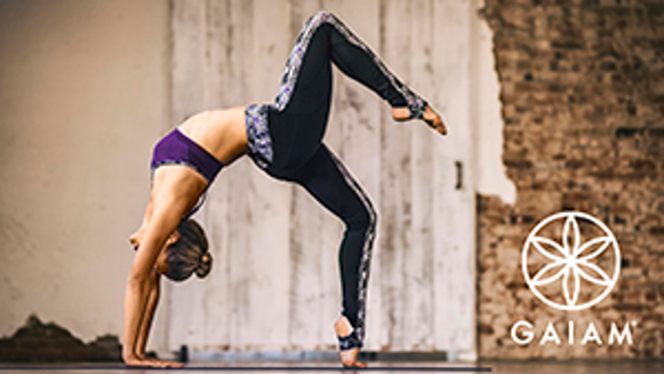 Sequential Brands Buys Gaiam