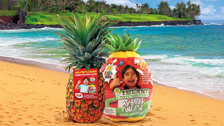 Ryan’s World and Dole sweepstakes pineapple and “Ryan’s World Island Adventures” Mystery Pineapple toy. 