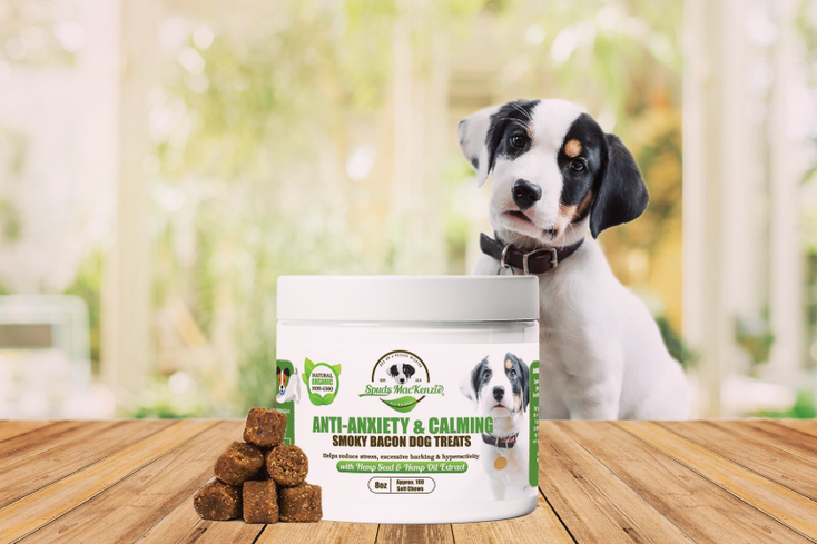 Spuds MacKenzie Howls for Hemp-Infused Dog Treats Spuds MacKenzie Howls for Hemp-Infused Dog Treats