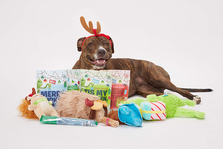 The Grinch to Gift Your Pooch this Season