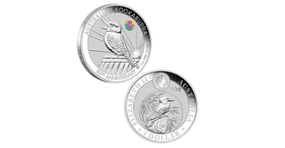 kookaburra.png
