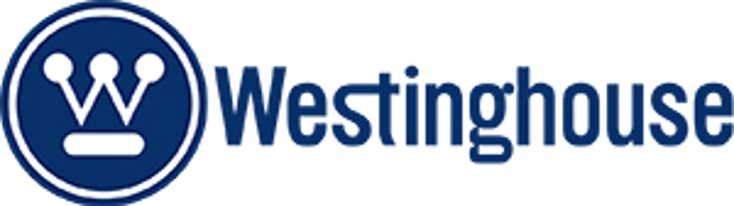 Westinghouse Teams for Appliances in India
