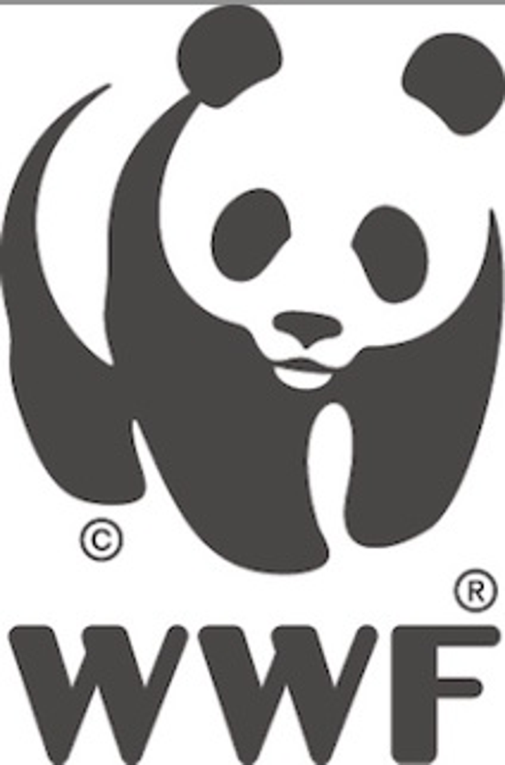 WWF Teams with TVMania WWF Teams with TVMania