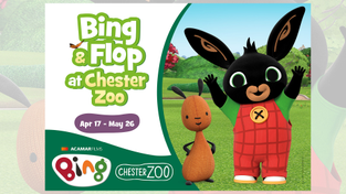 Promotional image for Bing's takeover of the Chester Zoo.