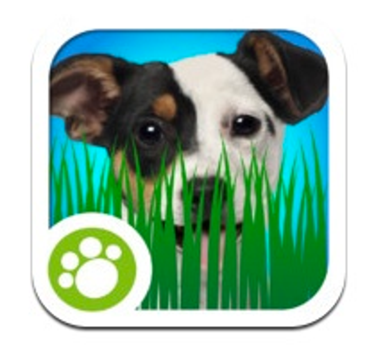 Animal Planet Releases New App