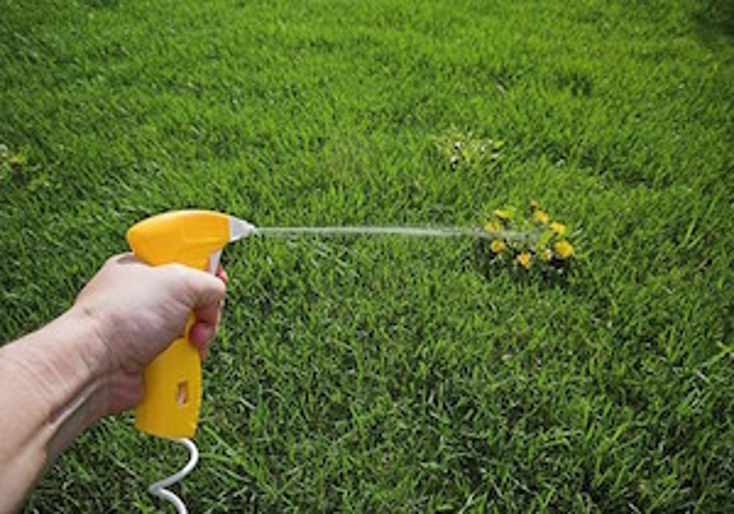 Scotts Miracle-Gro Expands Roundup Rights Scotts Miracle-Gro Expands Roundup Rights