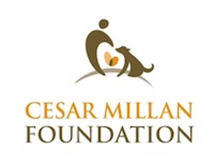 Scooby-Doo, Cesar Millan Lead the Pack Scooby-Doo, Cesar Millan Lead the Pack