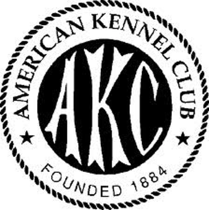 4Licensing to Rep Kennel Club