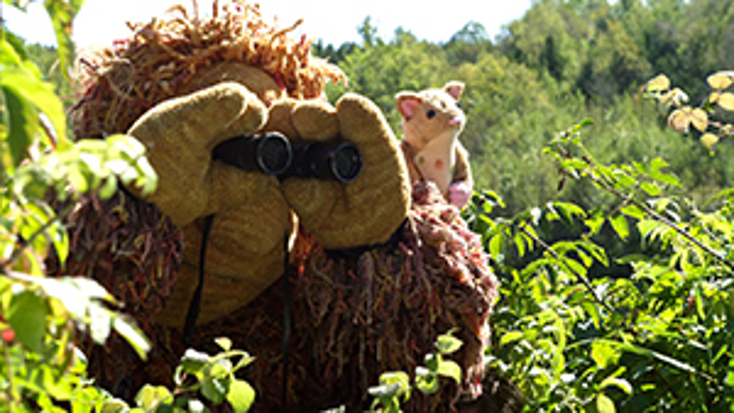 WDR MediaGroup to Distribute ‘WildWoods’ WDR MediaGroup to Distribute ‘WildWoods’