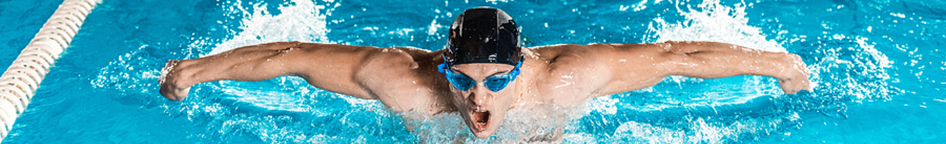 MPP Hero desktop background 1366 x 209.webp