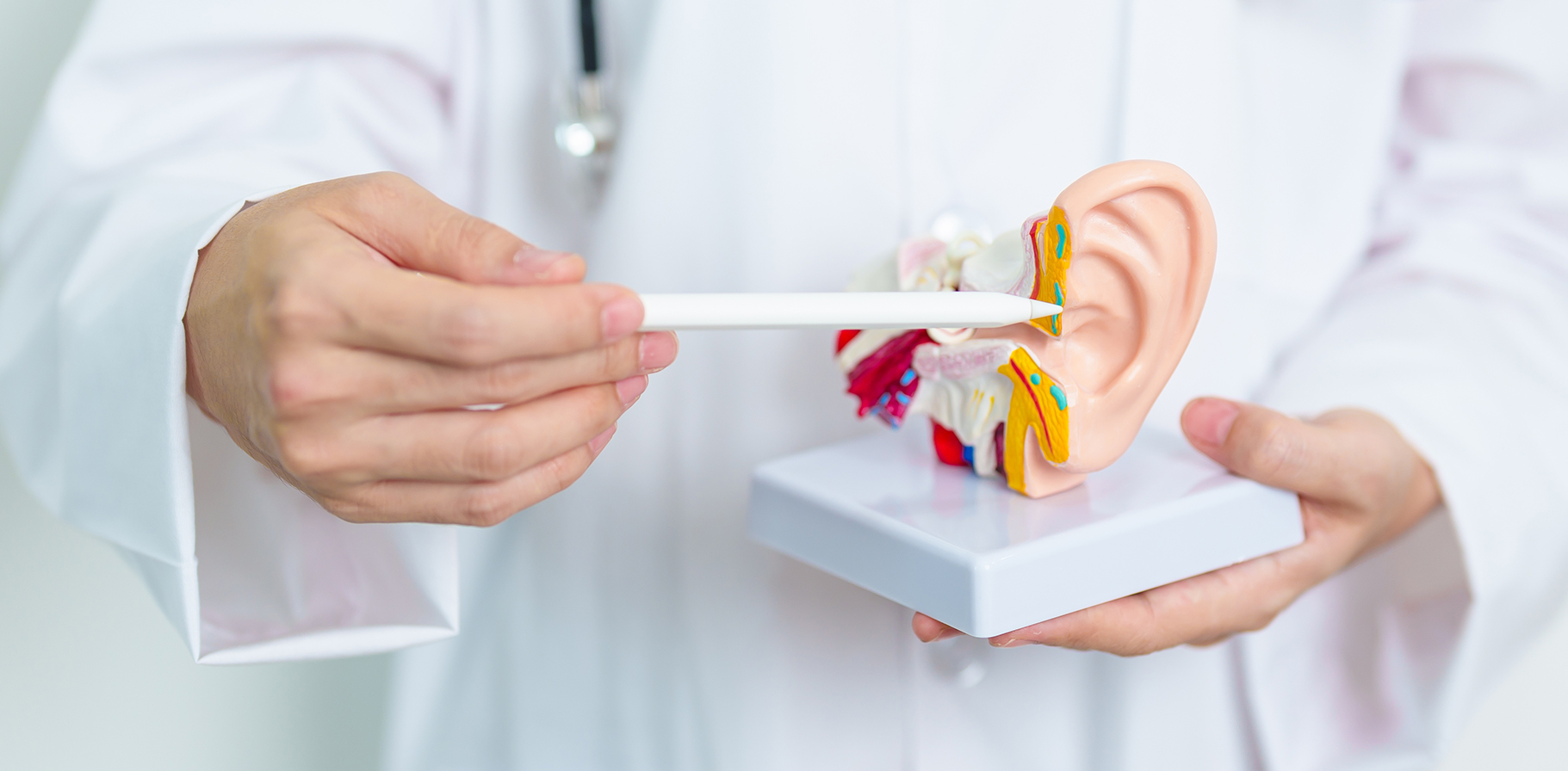 HL-what-are-the-four-types-of-hearing-loss-DESKTOP.jpg