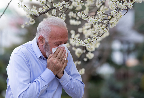 old-man-with-allergy-symptoms-500.jpg