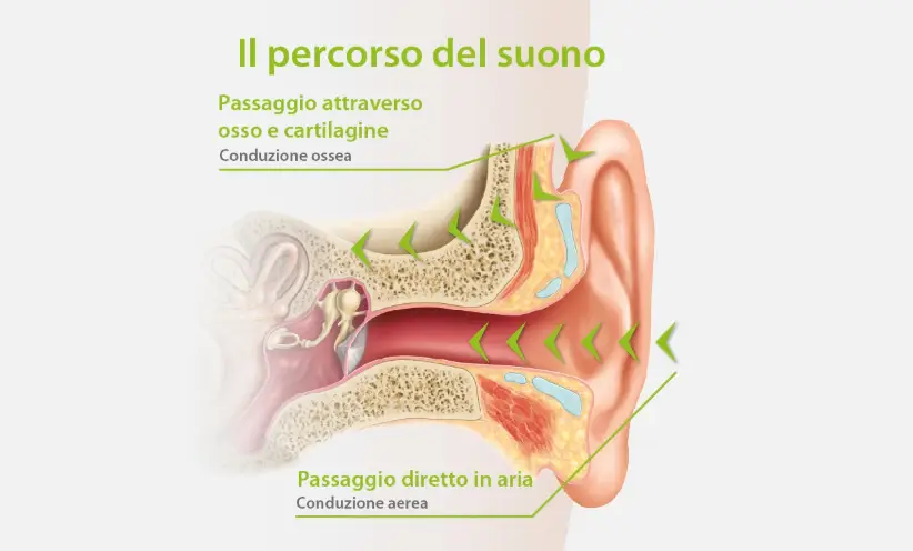 822x496_image_in_blog_post_-the-auditory-pathways_it.webp