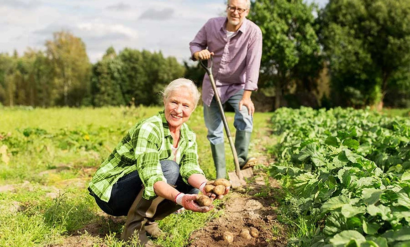 audeolife-gartenarbeit.jpg