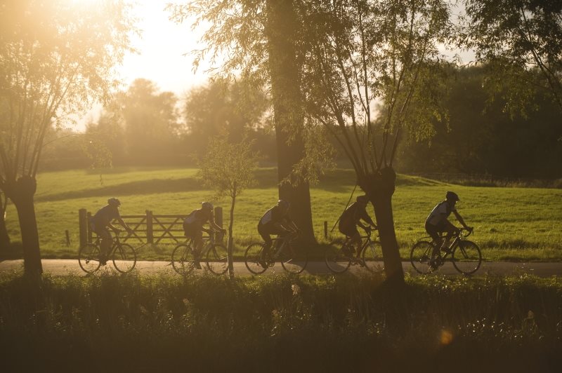 group-cyclists-in-forest.jpg