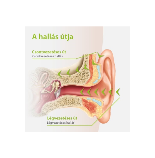 próba – 11.png
