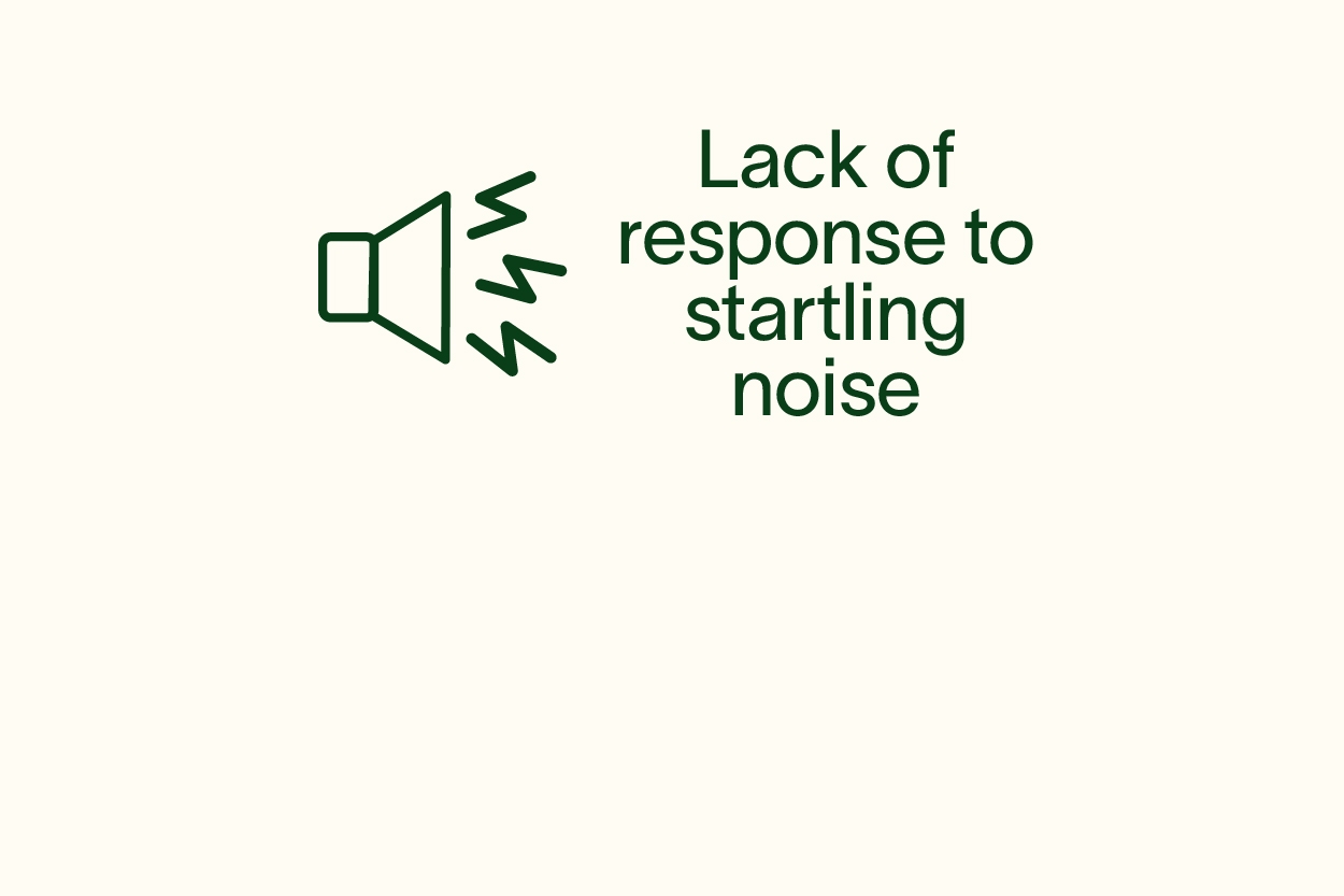 Signs of Hearing Loss_Lack of response to noise.jpg
