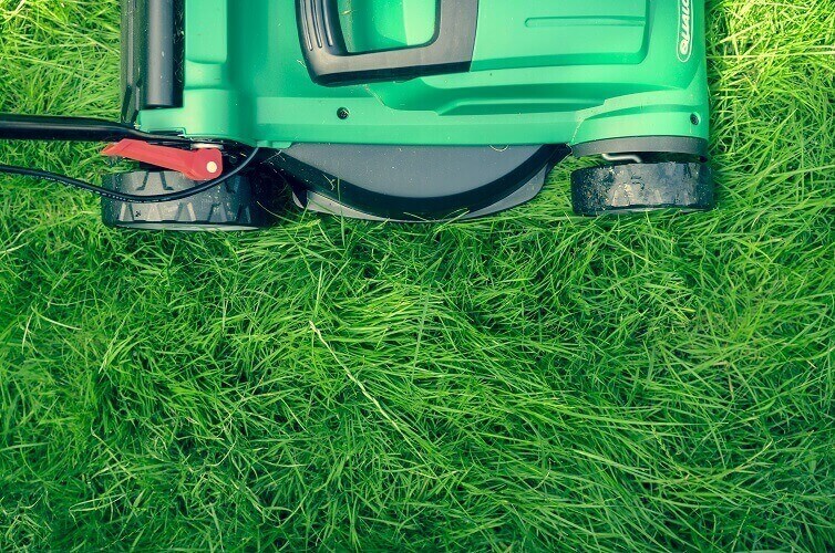 hum-of-lawnmower.jpg