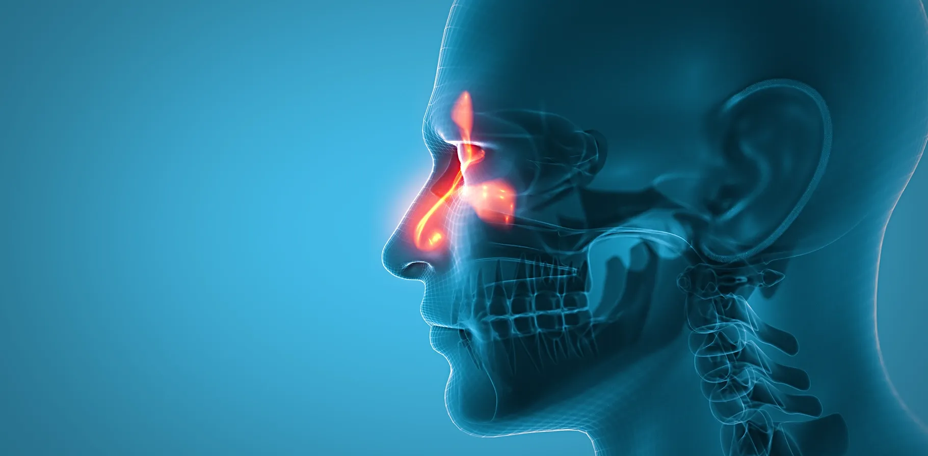 HL_Sinusitis_Ear_Pain_and_Hearing_Loss-DESKTOP.webp