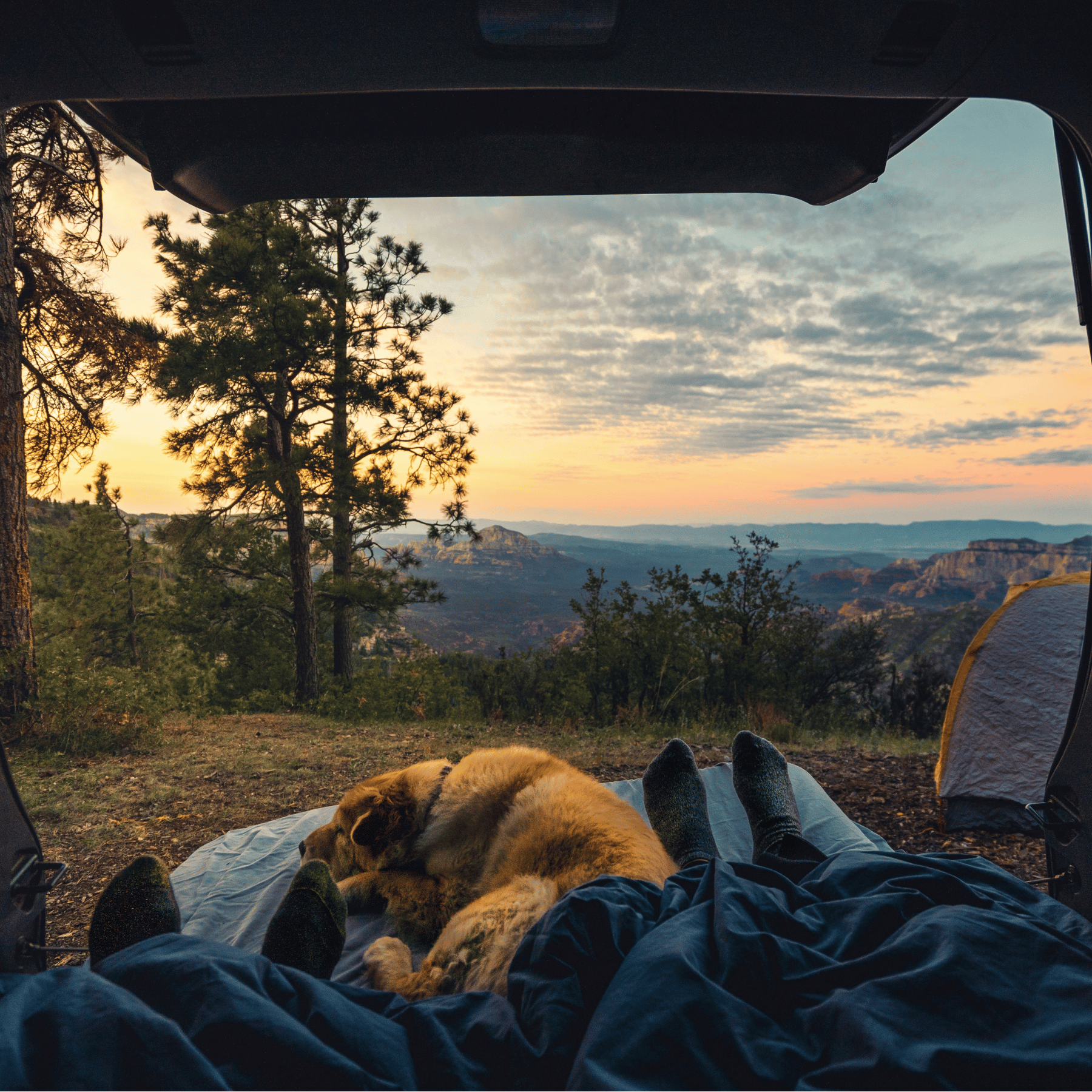 Camping with Hearing Loss_Mobile.png