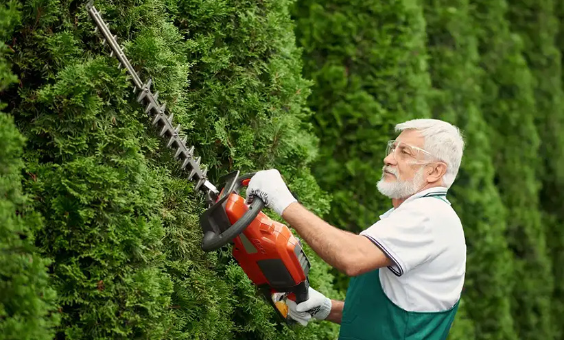 mann-beim-hecke-schneiden.jpg