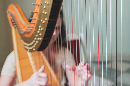 female-musician-harpist-playin-500.jpg