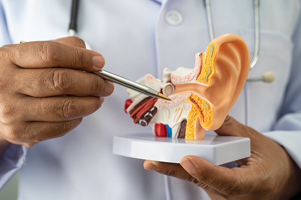 EarDiagram.jpg