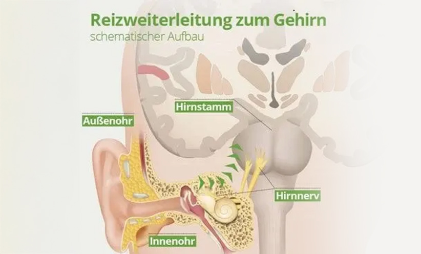 reizweiterleitung-zum-gehirn-400x400.jpg