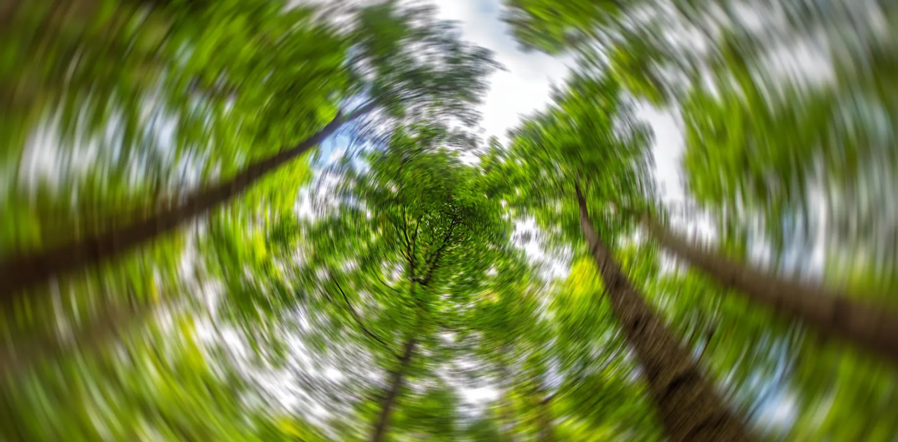HH_positional-vertigo_DESKTOP.avif