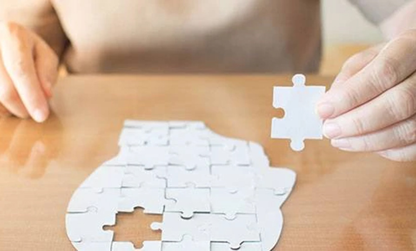 puzzle-gehirn.jpg