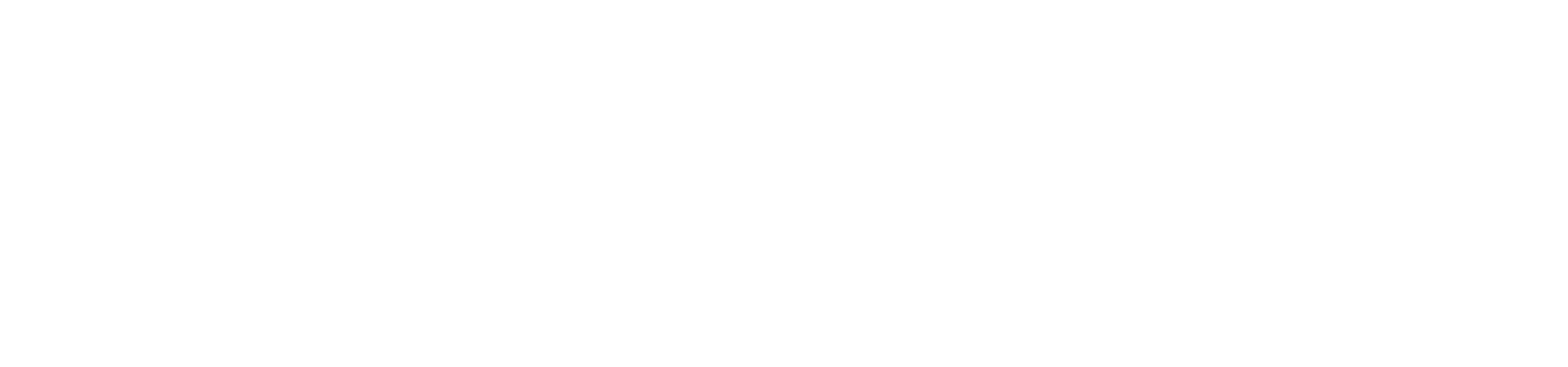 sundhedsstyrelsen-logo.png