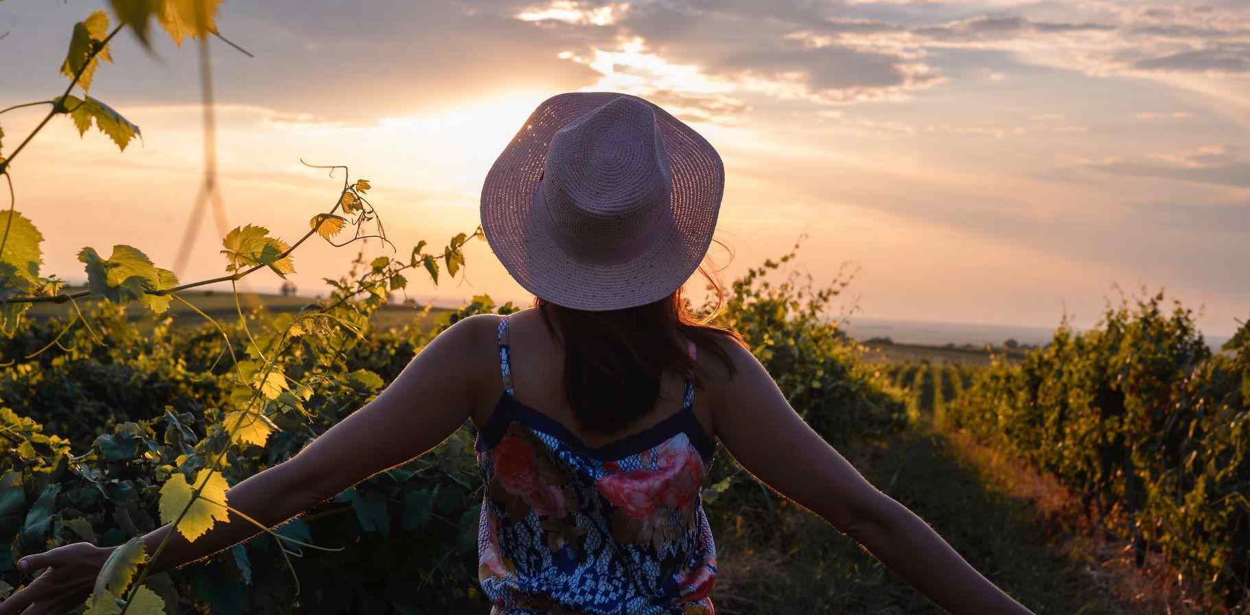 beautiful-woman-in-vineyard.jpg