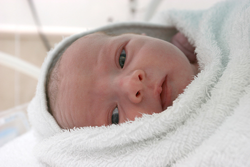 new-born-baby-500.jpg