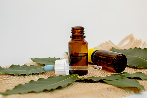 tea-tree-essential-oil-500.jpg