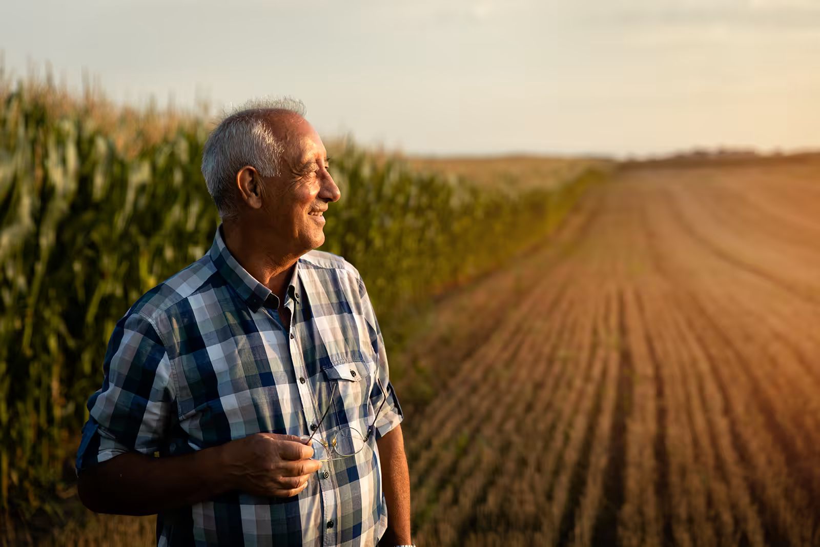 man looks across field.avif