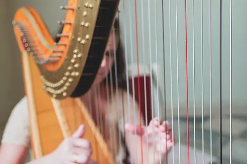 female-musician-harpist-playin-500.jpg