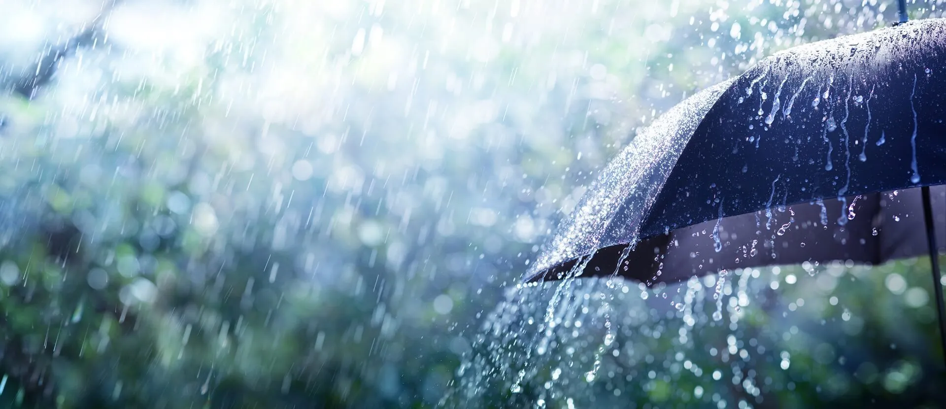 rain-on-umbrella-desktop-banner.jpg