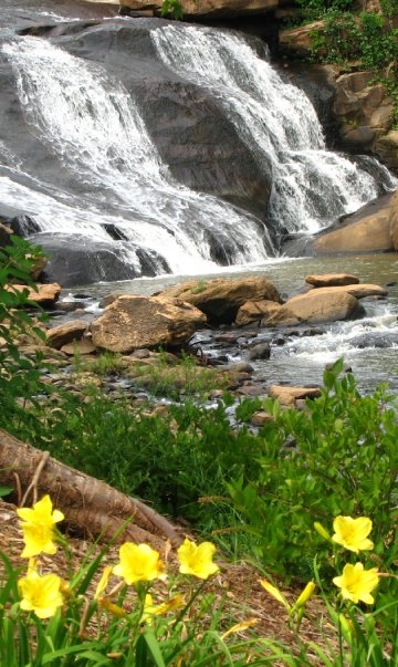 mobile banner 360x603-Waterfall--1851891.jpg