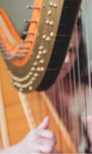 mobile banner 360x603_Musician-Harpist-454300029.jpg