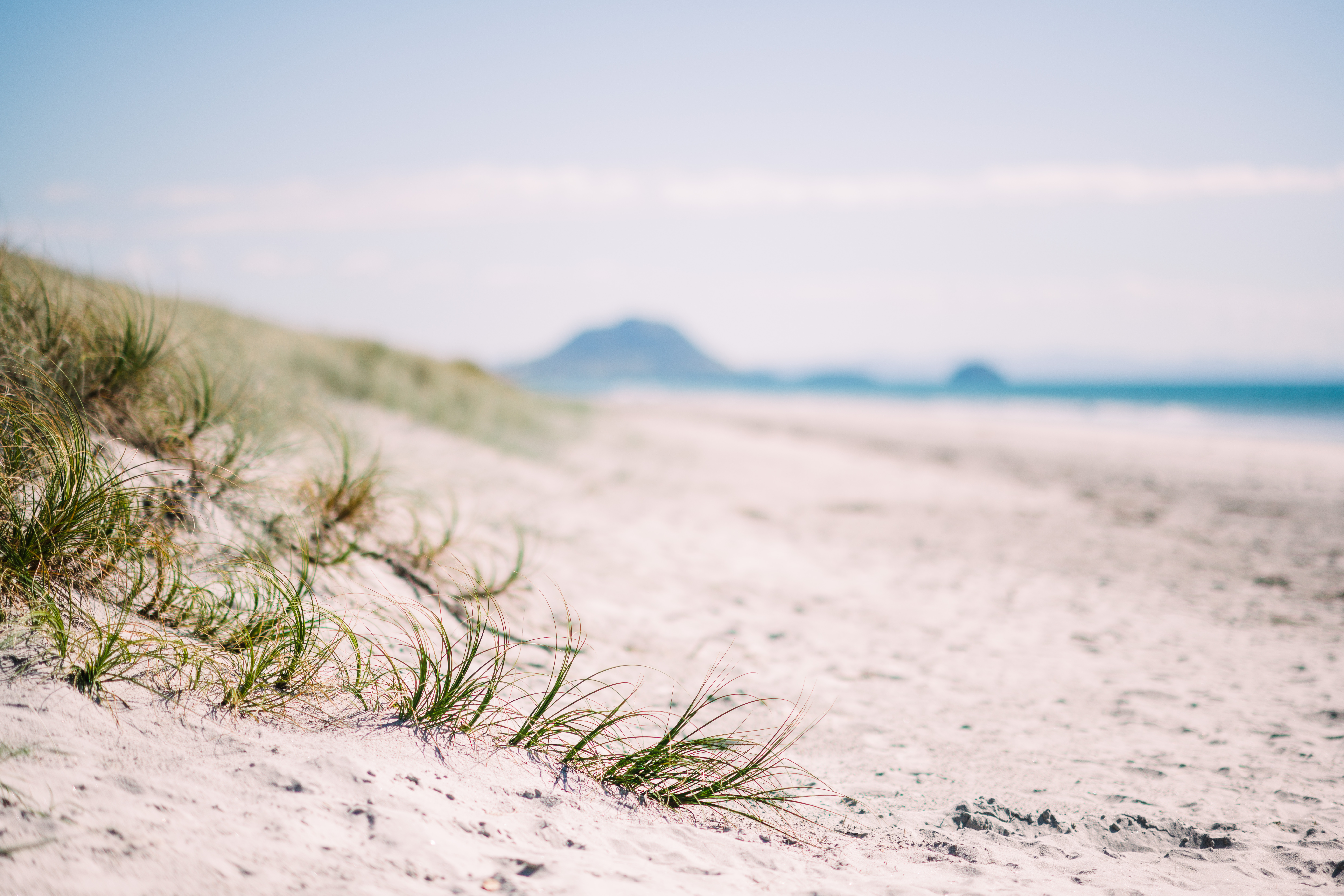papamoa_scenic_1316_zds_8741.jpg