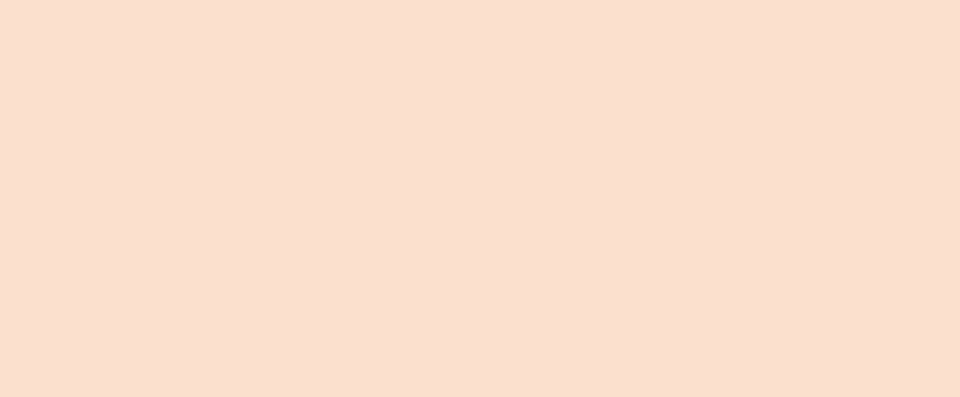 background colour_light orange.jpg