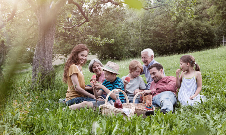 komfort-moodbild-family-picknick.jpg