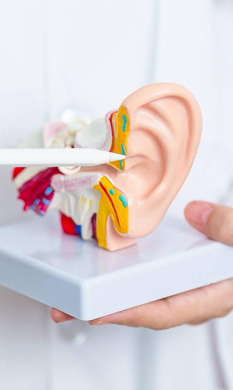 HL-what-are-the-four-types-of-hearing-loss-MOBILE.jpg
