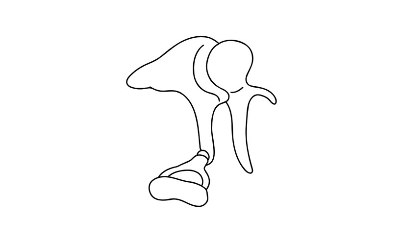 abbildung-menschliche-gehoerknoechelchen-illus.webp