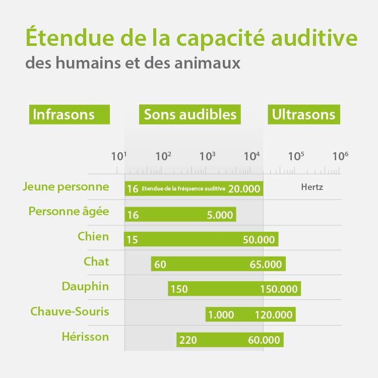 hearing-frequency-range_fr.jpeg