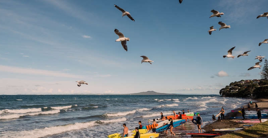 Sea view.png