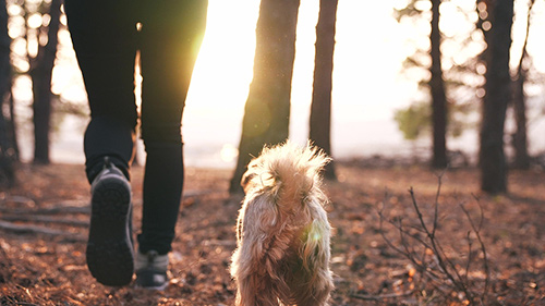 hiker-feet-walking-the-dog-500.jpg