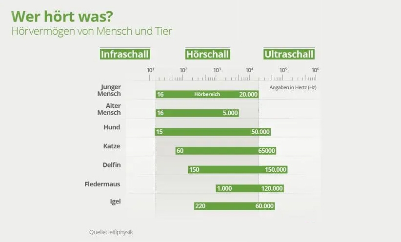 wer-hoert-was-hoervermoegen-mensch-tier.jpg