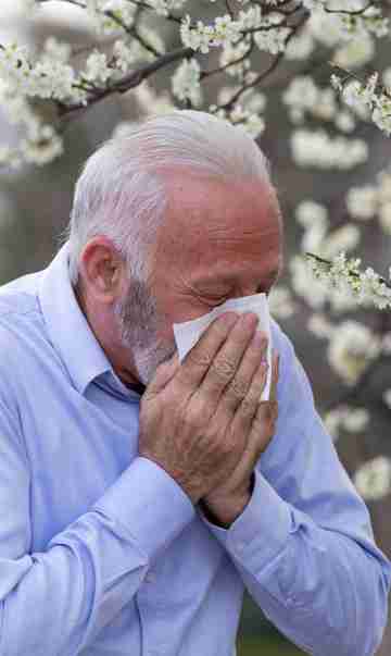 mobile banner_360x603_Old-Man-With-Allergy-Symptoms-440084135.jpg