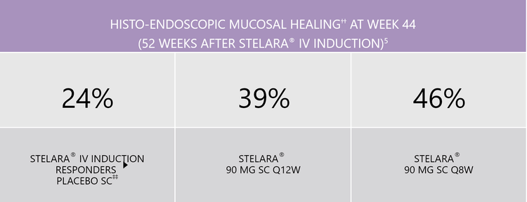 stelara-ibd Histo-endoscopic mucosal healing stelara-ibd Histo-endoscopic mucosal healing